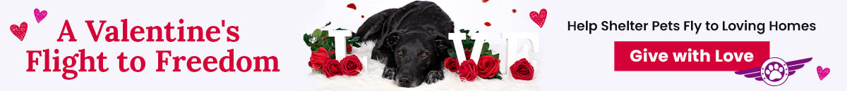 A Valentine’s Flight to Freedom donation by The Animal Rescue Site and GreaterGood, featuring a black dog with red roses, inviting supporters to help shelter pets reach loving homes.