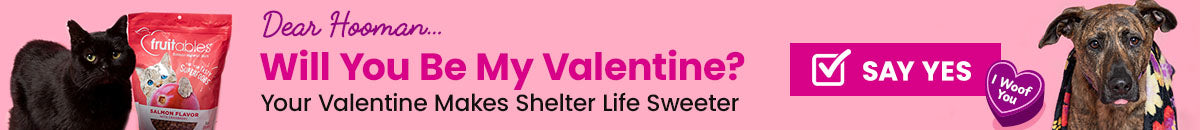 Will You Be My Valentine donation from The Animal Rescue Site and GreaterGood, featuring shelter dog in floral blanket, black cat on purple bed, and salmon pet treats supporting rescued pets.