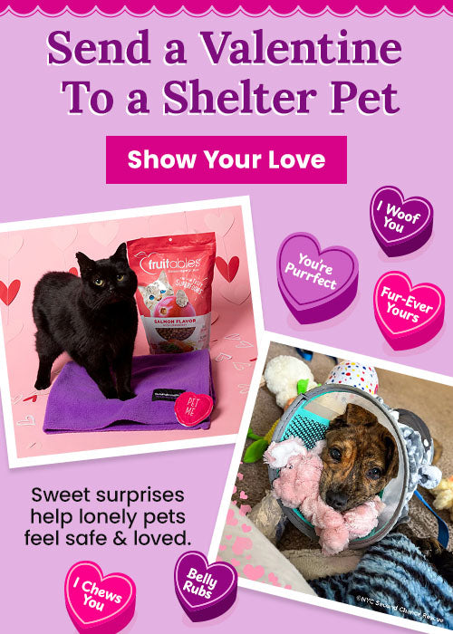 Will You Be My Valentine donation from The Animal Rescue Site and GreaterGood, featuring shelter dog in floral blanket, black cat on purple bed, and salmon pet treats supporting rescued pets.