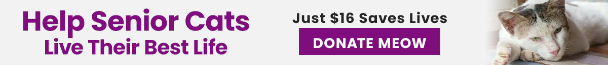 Help Senior Cats Live Their Best Life donation from The Animal Rescue Site and GreaterGood, supporting lifesaving care for senior shelter cats with food, medical treatment, and comfort.