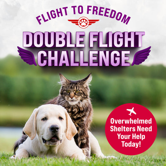 Help Fly Pets to Freedom