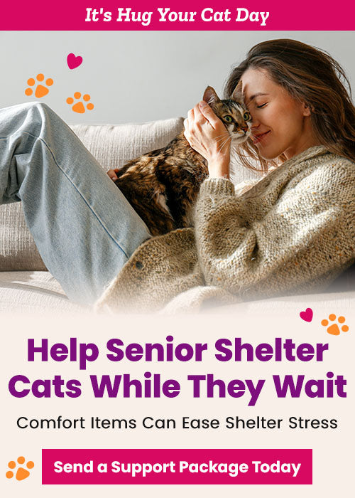 Help Senior Shelter Cats While They Wait donation, The Animal Rescue Site and GreaterGood; support comfort packages, enrichment items, and care supplies that help senior shelter cats feel safe and loved.