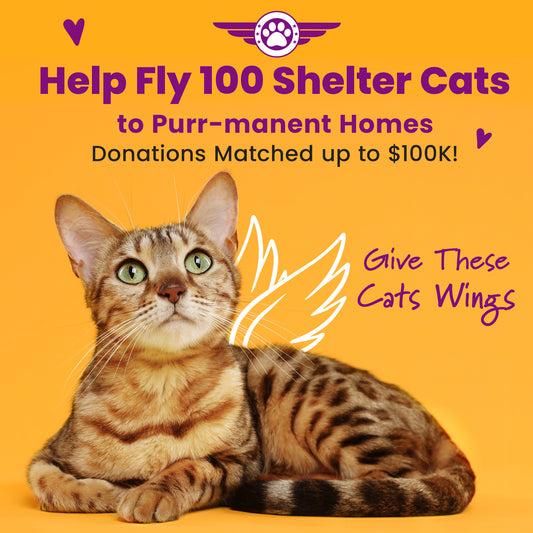 Help Fly Pets to Freedom