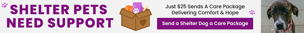 Shelter Pets Need Support donation, The Animal Rescue Site and GreaterGood; pets in shelter care awaiting comfort supplies, enrichment toys, and care packages that provide hope and daily support.