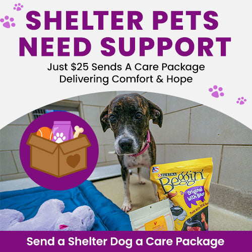 Shelter Pets Need Support donation, The Animal Rescue Site and GreaterGood; pets in shelter care awaiting comfort supplies, enrichment toys, and care packages that provide hope and daily support.