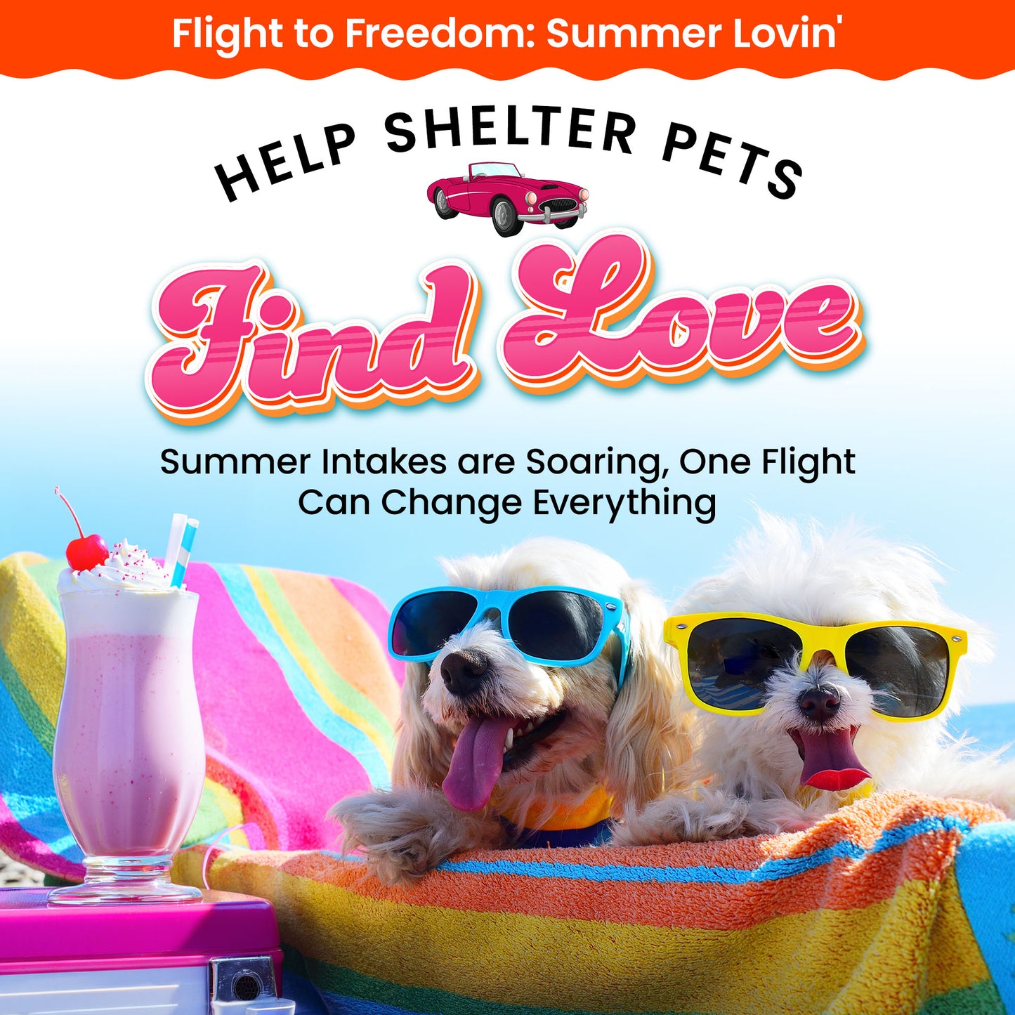 Help Fly Pets to Freedom