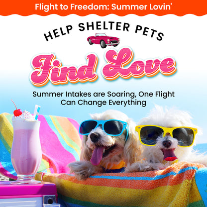 Help Fly Pets to Freedom