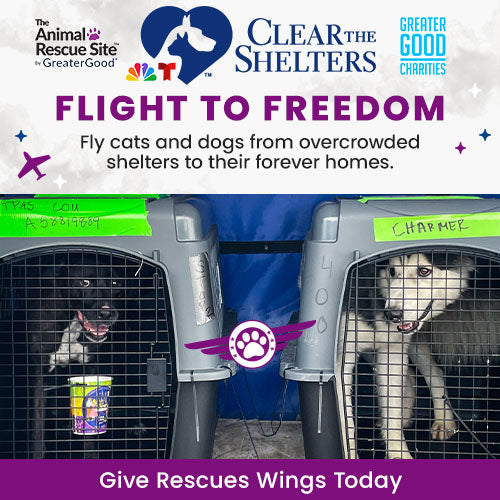 Support the Flight to Freedom campaign by The Animal Rescue Site, GreaterGood, and Clear The Shelters. Help fly cats and dogs from overcrowded shelters to their forever homes.