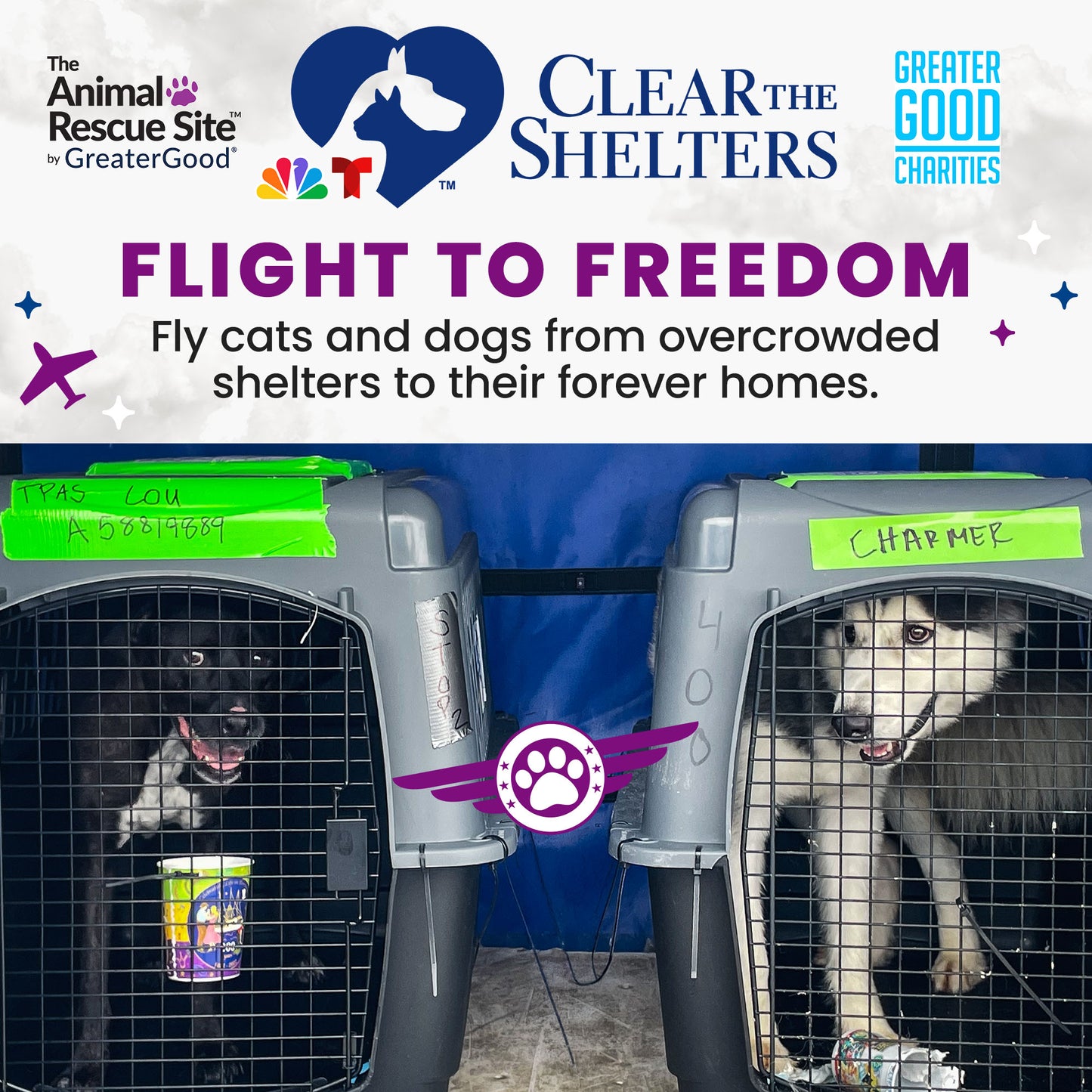Help Clear the Shelters by Flying Pets to Freedom