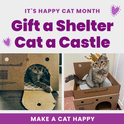 Support the Gift a Shelter Cat a Castle campaign by The Animal Rescue Site and GreaterGood for Happy Cat Month. Make a cat happy and gift a shelter cat a castle today.