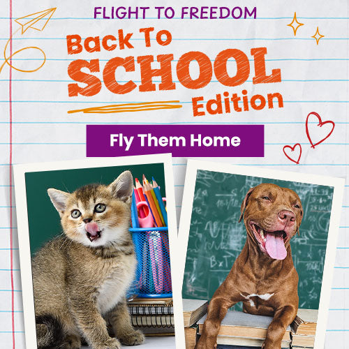 Support the Flight to Freedom Back To School Edition campaign by The Animal Rescue Site and GreaterGood. Fly them home and help rescue animals find their forever families.