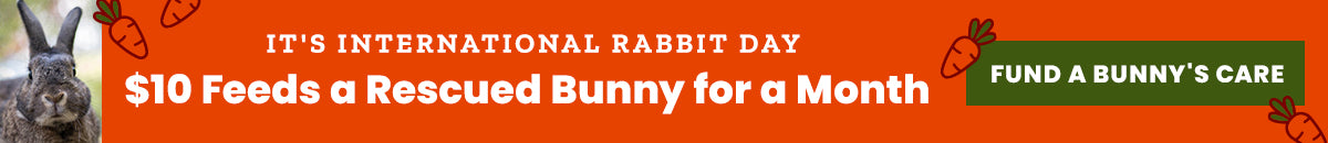 Support the International Rabbit Day campaign by The Animal Rescue Site and GreaterGood. Just $10 feeds a rescued bunny for a month, so fund a bunny's care today.