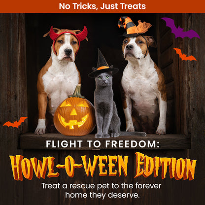 Help Fly Pets to Freedom