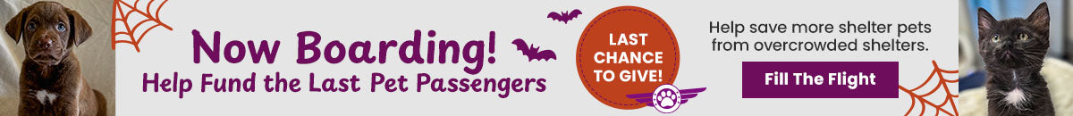 Howl-O-Ween Flight to Freedom donation with The Animal Rescue Site and GreaterGood helps fund lifesaving transport for at-risk shelter pets to safety.