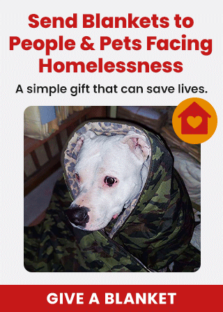 Support the Send Blankets to People & Pets Facing Homelessness campaign by The Animal Rescue Site and GreaterGood. Give a blanket today because it is a simple gift that can save lives.