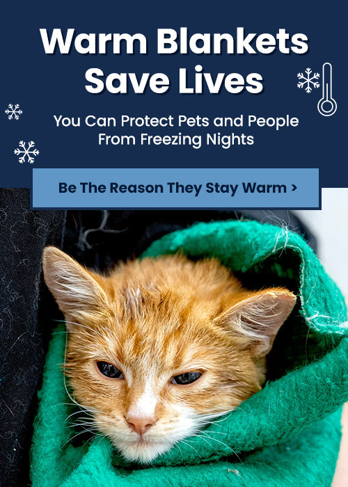 Warm Blankets Save Lives donation with The Animal Rescue Site and GreaterGood provides life-saving warmth for pets and people facing freezing nights.