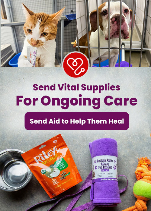 Ongoing Care donation from The Animal Rescue Site and GreaterGood providing pet food, fleece blanket, and toys for animals in recovery. Support helps pets heal and survive.