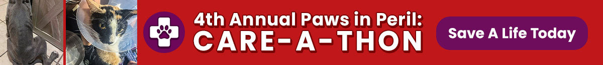 Support the 4th Annual Paws in Peril: Care-A-Thon campaign by The Animal Rescue Site and GreaterGood. Save a life today to provide critical care for animals in need.