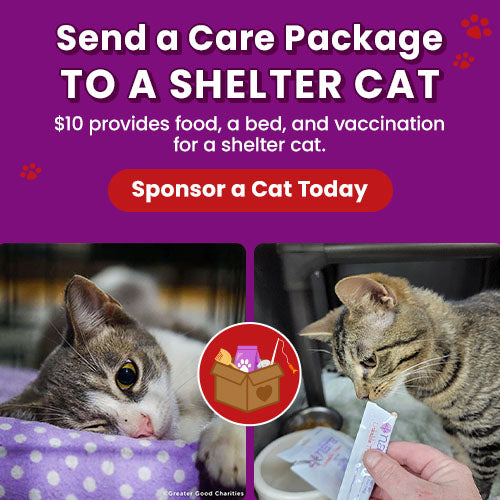 Support the Send a Care Package to a Shelter Cat campaign by The Animal Rescue Site and GreaterGood. Sponsor a cat today because $10 provides food, a bed, and vaccination for a shelter cat.