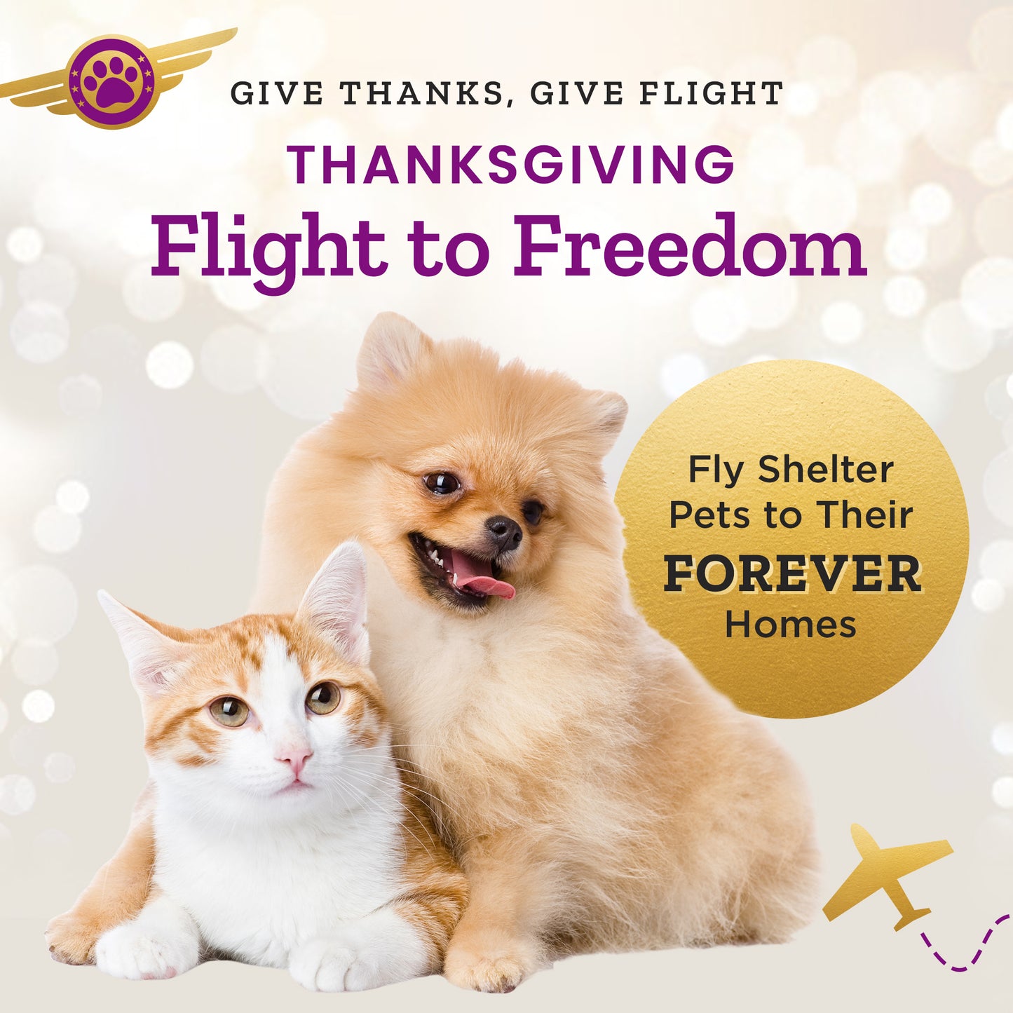 Help Fly Pets to Freedom