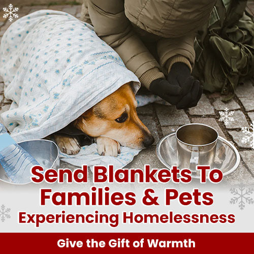 Send Blankets to Families & Pets Experiencing Homelessness — The Animal Rescue Site and GreaterGood donation supporting warmth and care for people and pets in need.