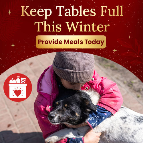 Keep Tables Full This Winter donation by The Animal Rescue Site and GreaterGood showing a child hugging a dog; supports meal assistance for families and pets in need.