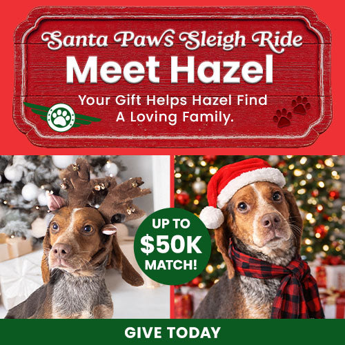 Santa Paws Sleigh Ride donation from The Animal Rescue Site and GreaterGood, featuring dog and cat with holiday sleigh. Support lifesaving help; donations matched up to $50K.