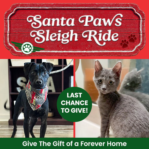 Santa Paws Sleigh Ride donation from The Animal Rescue Site and GreaterGood, featuring dog and cat with holiday sleigh. Support lifesaving help; donations matched up to $50K.