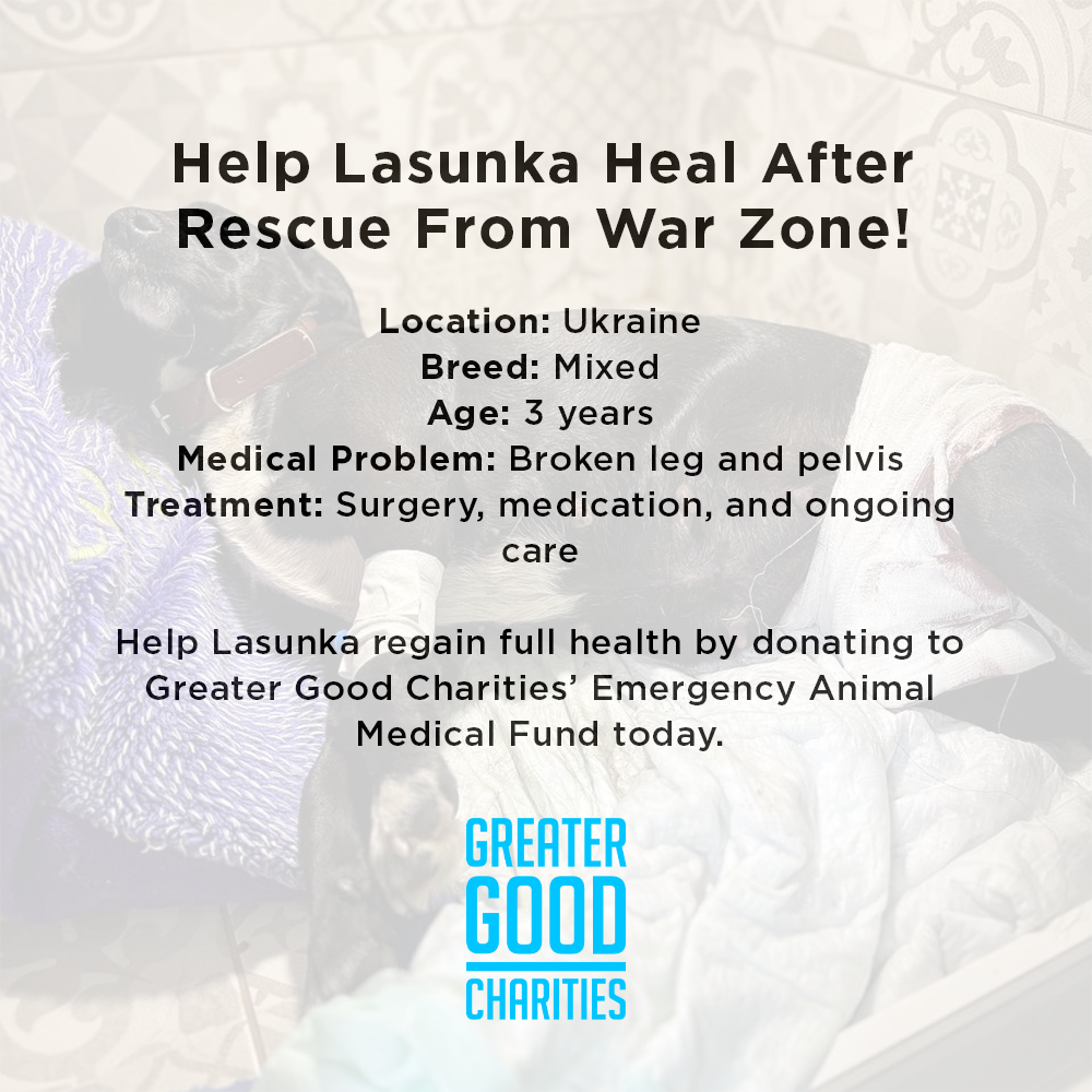 Funded: Help Lasunka Heal After Rescue From War Zone