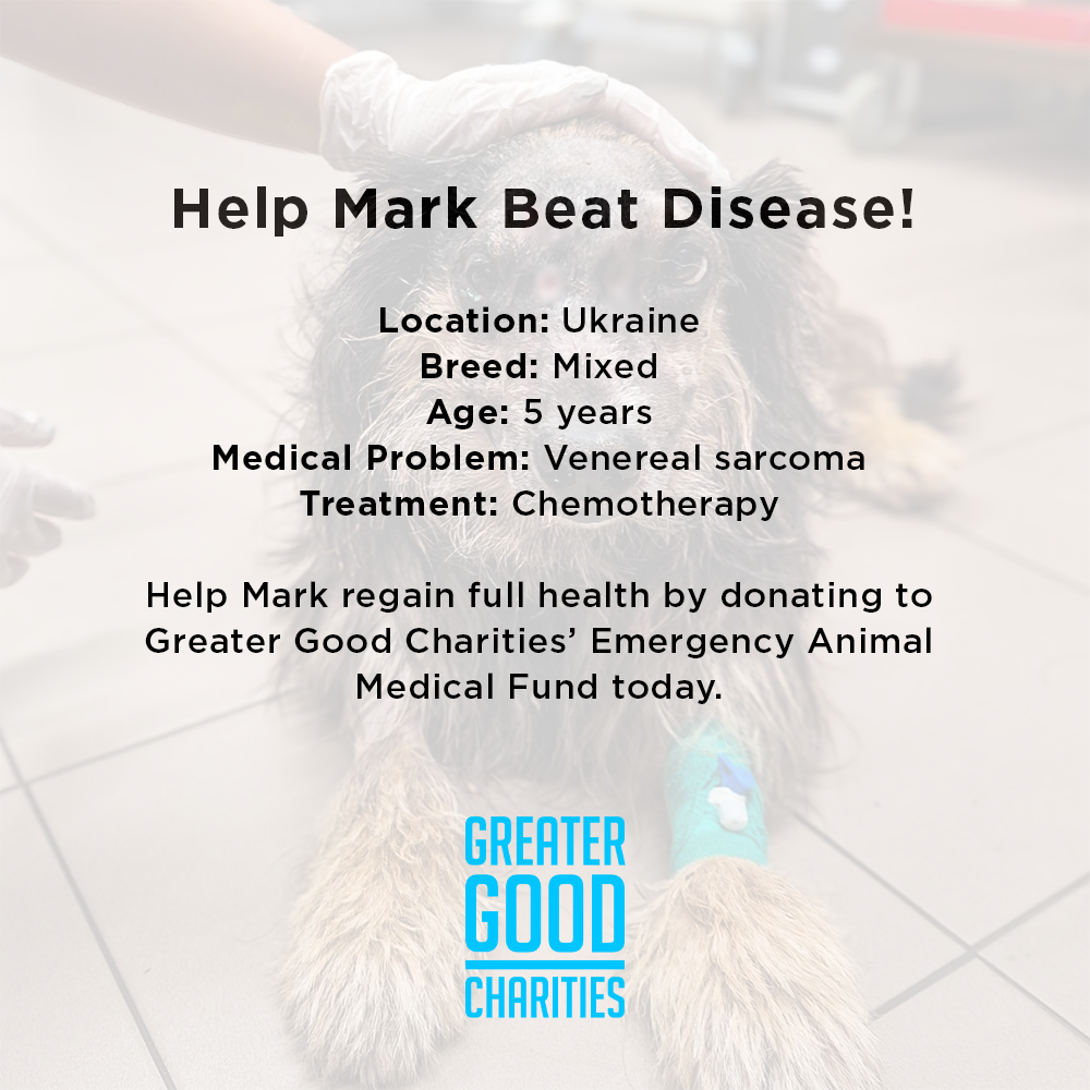 Help Mark Beat Disease