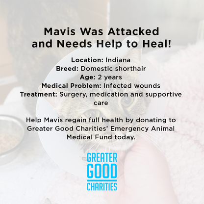 Mavis was Attacked and Needs Help to Heal