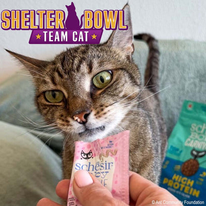 Shelter Bowl 2026: Feed Hungry Shelter Pets