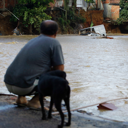 Help People and Pet Survivors of Devastating Floods in Nepal