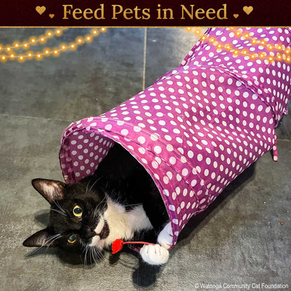 Holiday Food Drive: Feed Shelter Pets in Need