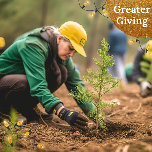 Give the Earth a Gift: Plant a Tree for the Holidays