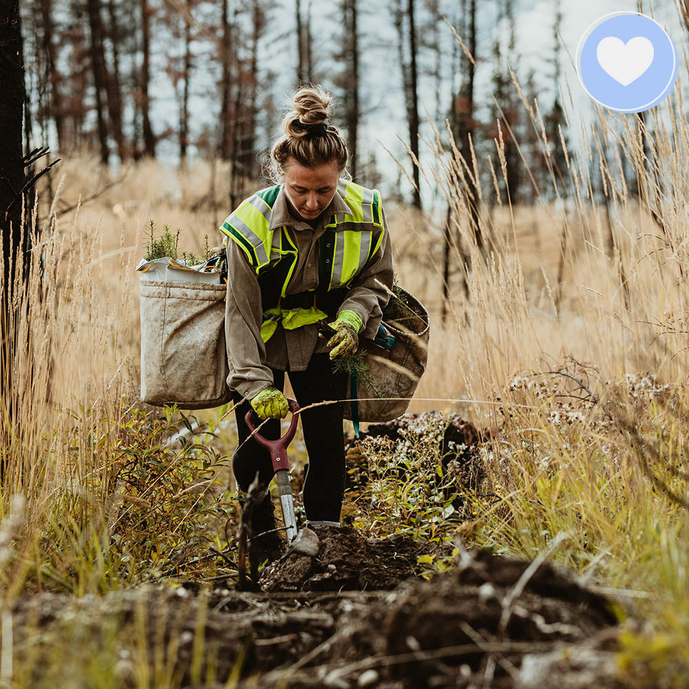 Give the Earth Some Love: Plant a Tree