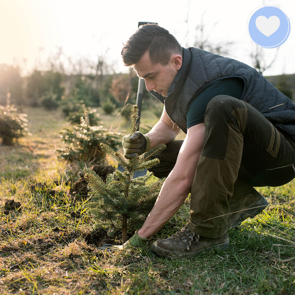 Give the Earth Some Love: Plant a Tree