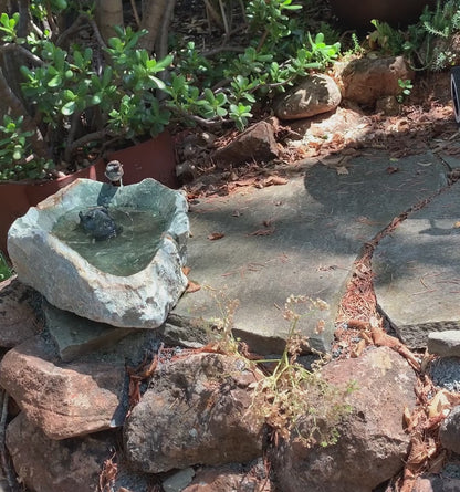 Hand-Carved Serpentine Stone Animal Birdbath