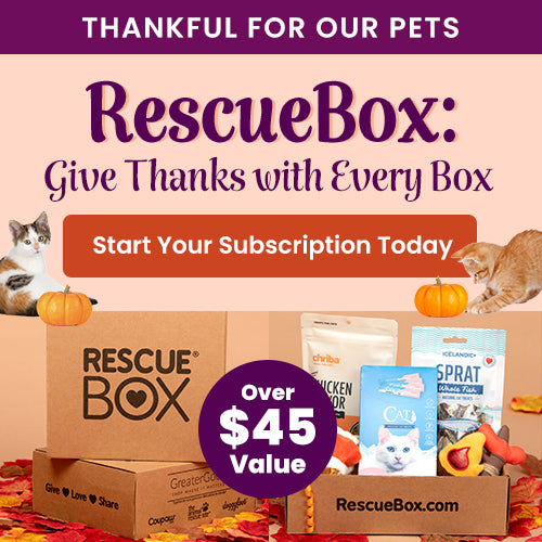 RescueBox subscription promo from The Animal Rescue Site and GreaterGood; proceeds help support shelter pets and more; features cat treats, toys, and food in branded boxes.