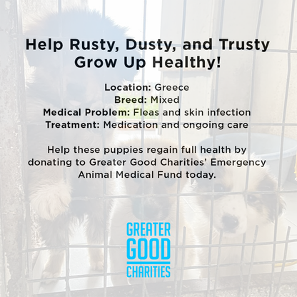 Funded: Help Rusty, Dusty, and Trusty Grow Up Healthy