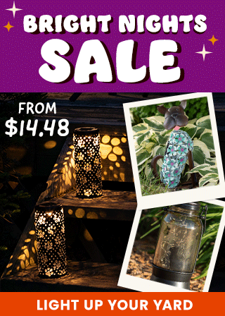 Shop the Bright Nights Sale to light up your yard with solar lanterns, stakes, and garden lights starting from $14.48. Every purchase helps support shelter pets and more through The Animal Rescue Site and GreaterGood.