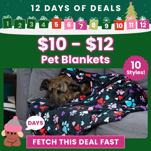 $10–$12 Pet Blankets from The Animal Rescue Site and GreaterGood featuring black fleece blankets with colorful paw-print patterns; proceeds help support shelter pets and more.