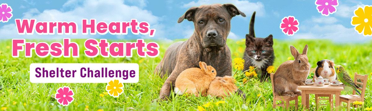 Warm Hearts, Fresh Starts Shelter Challenge