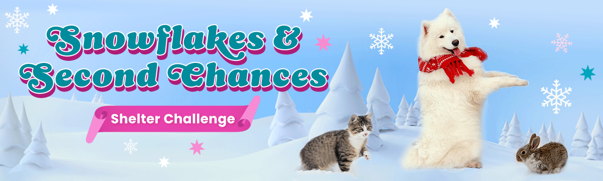 Snowflakes & Second Chances 