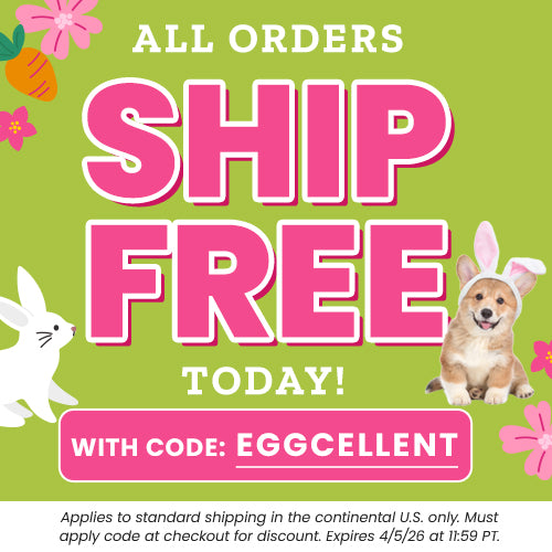 All Orders Ship Free Today promotion from The Animal Rescue Site and GreaterGood. Proceeds help support shelter pets and more. Shop spring apparel, bunny-themed accessories, colorful seasonal styles.