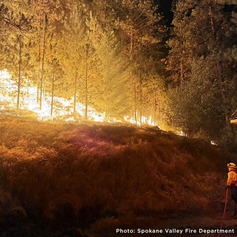 Send Emergency Relief to Families and Pets Impacted by the Spokane Wildfires