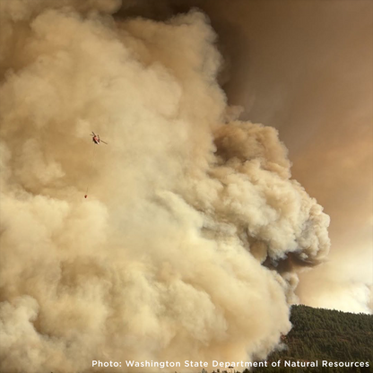Send Emergency Relief to Families and Pets Impacted by the Spokane Wildfires