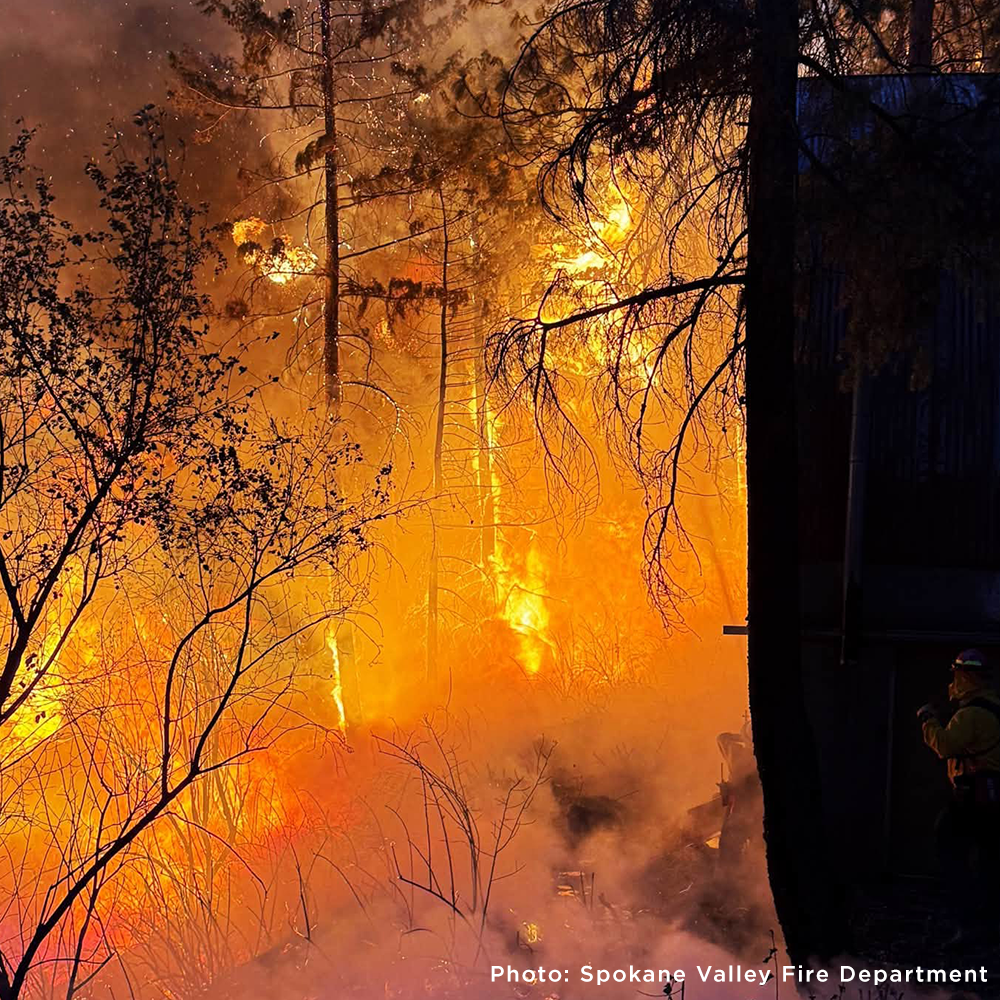 Send Emergency Relief to Families and Pets Impacted by the Spokane Wildfires