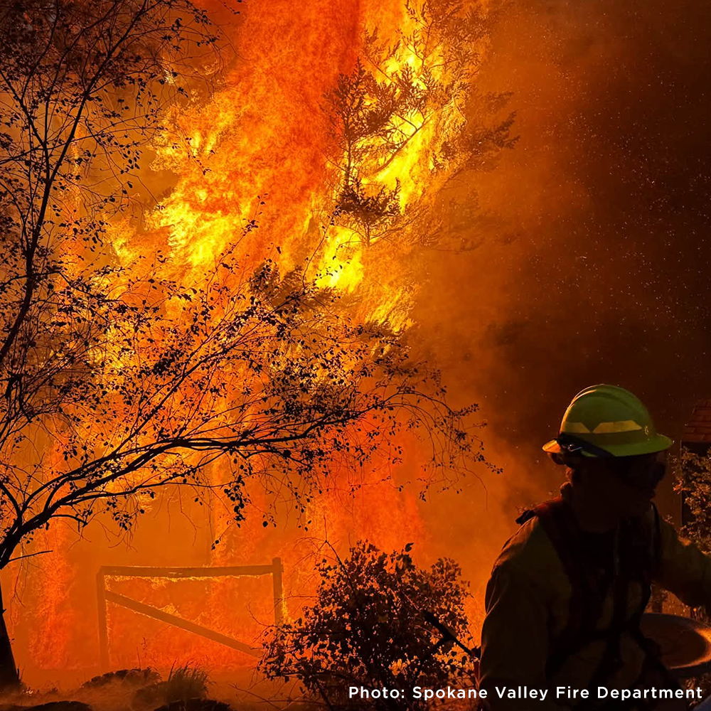 Send Emergency Relief to Families and Pets Impacted by the Spokane Wildfires