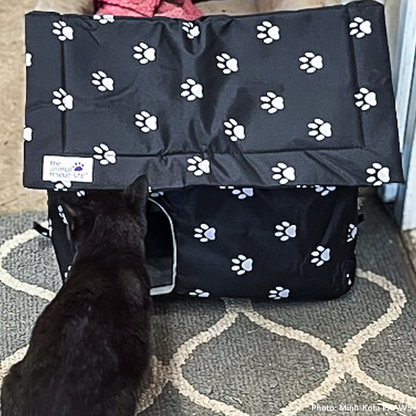 Give Shelter & Supplies to Stray Cats Living in Harsh Conditions